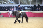 SBM_23686