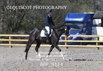 BPP_9114
