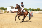 SBM_002555