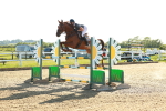SBM_003294
