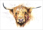 Highland Cow Limited Edition Print 14900149 A3 HIGHLAND COW print 1200