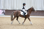 SBM_001022