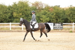 SBM_000537