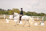 SBM_004590