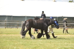 SBM_16118