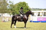 SBM_17915