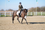 SBM_003395