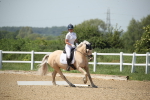 SBM_009636