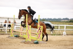 SBM_024474