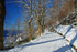 Fløyfjellet, Bergen