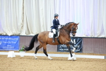 SBM_002869
