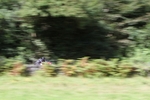FOM_0720