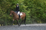 WJ5_9833