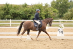 SBM_002506_Class 6a - Novice 5 - 1153