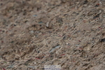231013A-092722-00791