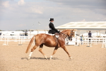 SBM_06743
