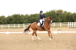 SBM_005934