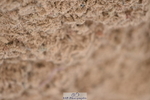 231015A-133616-08366