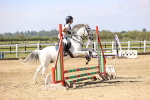 SBM_000447