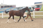 SBM_07614
