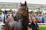 150525-Pride Of Arras-4827