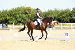SBM_009733