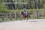 BPP_0977