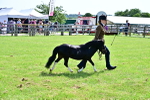 SBM_03480
