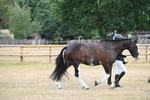 WJ6_7853