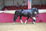 SBM_06548