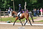 C-258-Bill.Levett-ITALIAN.HARLEQUIN.NJ portfolio