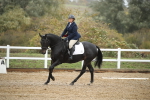 SBM_001356