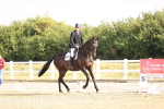 SBM_008463