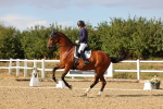 SBM_007496