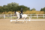 SBM_009216