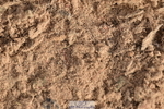 231015A-142228-08676