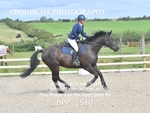 BPP_1510