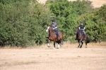 WJ6_7449