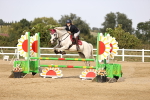 SBM_03466