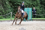 260630A-102642-20118