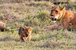 IMG_0769 Nakuru