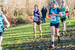 Cumbria XC-95