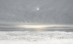 WINTER SUN, 2017 - LONG POINT