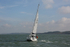 161022 SYLPHE GBR7456T - BENETEAU Y92A8707