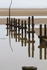 Reflections