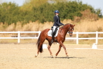 SBM_018329