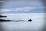 DSC00781