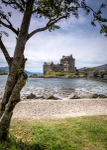 Eilean Donan Castle - Tree Framed