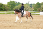 SBM_006417