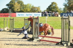 SBM_15272